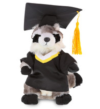 Raccoon Graduation Plush Toy With Graduation Gown &amp; Cap Outfit - 9 Inch - £35.96 GBP