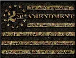 2nd Amendment Firearms America Eagle Camo Gun Ammo Wall Décor Metal Tin Sign New - £12.69 GBP