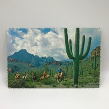 Horseback Riding In Tucson Mountain Park Vintage Postcard - £6.19 GBP