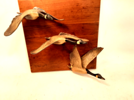 Unusual Vintage Flying Canadian Geese Wall Plaque on Walnut, Great Looking! - £69.29 GBP