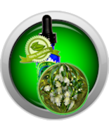 Myrtle (Myrtus Communis) Essential Oil - €5,15 EUR+