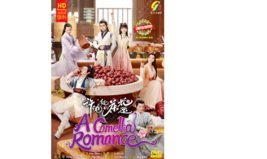 A Camellia Romance  Vol.1-24 END DVD [Chinese Drama] [English Sub] - £29.80 GBP