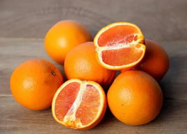 Semilir 5 Cara Cara Orange Seeds Usa Fast Shipping Fast Grow From Us - £6.86 GBP