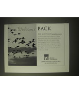 2002 Ducks Unlimited Ad - Welcome Back The Aleutian Canada Goose - £14.55 GBP