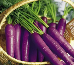 200 Seeds / Pack &#39;haze&#39; Purple Carrot Vegetable Seeds International Ship - £14.17 GBP