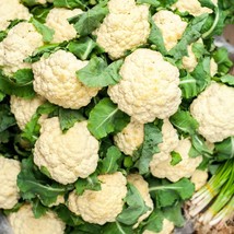 White Cauliflower Golden Hectare Seeds - Choose 30/120/600, Premium Quality, Gro - £3.99 GBP