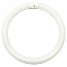 Fluorescent Tube Ligt Bulb 20113 - FC8T9/DCW/RP Circular T9 - $22.77