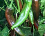 Joe E. Parker Chili Pepper Seeds NON-GMO NUMEX Chile Chiles Rellenos - £2.39 GBP