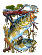 Bass Fish sport  game Fishing Sea Ocean Reef Tuna ceramic tile mural backsplash - £44.39 GBP+