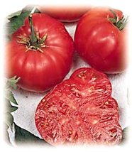 Tomatoes, Beefsteak Tomato 125 Seeds - Impressive!,Organic, NON-GMO, Usa Product - £5.90 GBP