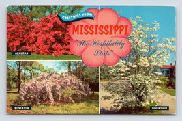 Greetings From Il Ospitalità Stato Mississippi Ms Unp Cromo Cartolina N5 - £2.37 GBP