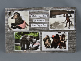 Vintage Postcard - Children&#39;s Zoo San Diego Zoo - Unbranded - £11.88 GBP
