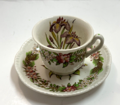 Ridgways Cup &amp; Saucer Tea set American State Flower Iris Lila England - £15.73 GBP