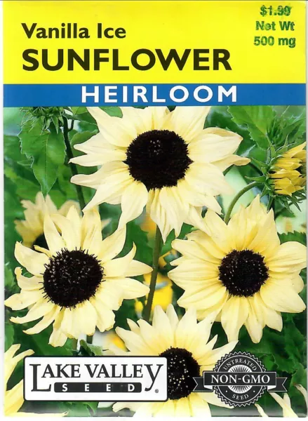 Sunflower Vanilla Ice Heirloom Non Gmo Flower Seeds Lake Valley 12/24 Fresh New - £6.89 GBP