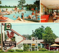 Vintage 1950s Gamecock Motel Santee SC Multi-View Unposted Panorama Post... - £19.62 GBP
