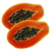 Fast Ship USA Seller Florida Red Royale Papaya Seeds Carica Papaya Packet Of 5 S - $17.94