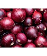AD Onion Seeds 250 Red Burgundy Allium Vegetable Culinary Home Garden - $18.19 CAD