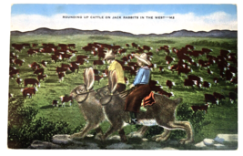 Postcard Rounding Up Cattle On Jack Rabbits In the West Cowboy Exaggerated Bunny - £5.48 GBP