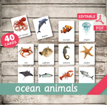 OCEAN ANIMALS • 40 Montessori Cards • Flash Cards Nomenclature FlashCards - £2.37 GBP