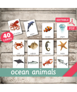 OCEAN ANIMALS • 40 Montessori Cards • Flash Cards Nomenclature FlashCards - £2.24 GBP