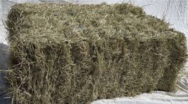 Generic 2-String Coastal Bermuda Hay Horse Feed - $44.42 CAD