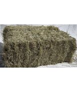 Generic 2-String Coastal Bermuda Hay Horse Feed - $44.69 CAD