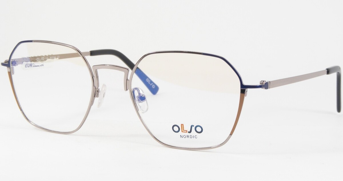 OLSO Nordisch 118 C2 Silber/Blau/Brauner Einzigartig Selten Brille 50-19... - $95.94