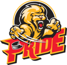 Pee Dee Pride Defunct ECHL Hockey Mens Polo XS-6X, LT-4XLT New - £20.09 GBP+