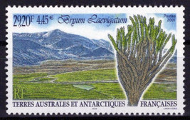 FSAT TAAF 289 MNH Antarctic Polar Plants Nature ZAYIX 0324S0104M - £7.77 GBP