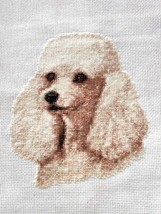 Finished DMC Cross Stitch Handmade XStitch Embroidery Art Work Masterpie... - $78.00