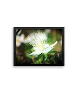 Framed Art Flower Poster - Ready To Hang Picture - Wall Decor - $56.67 CAD