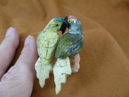 y-bir-pa-457 PARROT Macaw pair bird green gemstone SOAPSTONE figurine lo... - $20.56