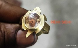 A++ Extreme Powerful Trisakti Rudraksha Tortise Ring / White Magic Ring - $72.53