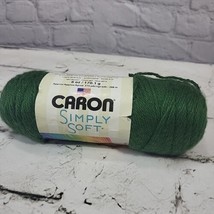 Caron Simply Soft Medium Weight Acrylic Yarn - 1 Skein Color Dark Sage #... - $5.93
