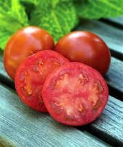 Sweetie Seedless Tomato 10 Seeds Juicy Tasty Fresh Garden USA SELLER - £14.23 GBP