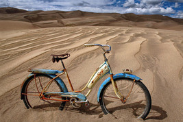 Dune Cruiser by Todd Van Fleet Bike Cycling Bicycle Flowers Canvas Giclee 24x36 - £288.84 GBP