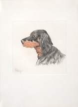 Georges-Frédéric ROTIG Etching Gordon Setter dog head - $102.50