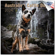 Australian Cattle Dog Wall Calendar 2024 Animal PET Lover Gift - $24.74