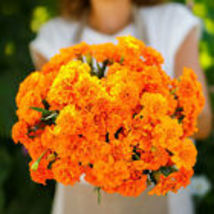 100 Seeds French Marigold Tangerine Double Dwarf Beneficial Plant Non-GMO - $12.00