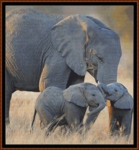 Elephant Love ~~ counted cross stitch pattern PDF - £12.89 GBP