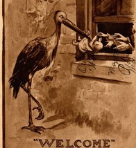 Vtg Postcard 1909 Stork Arriving Delivering Baby Welcome Roth &amp; Langley Pub - £4.78 GBP