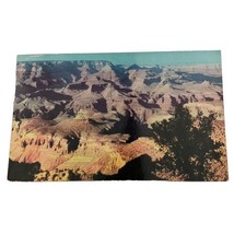 Grand Canyon National Park Arizona Vintage Chrome Postcard 1954 Posted Stamped - £2.76 GBP