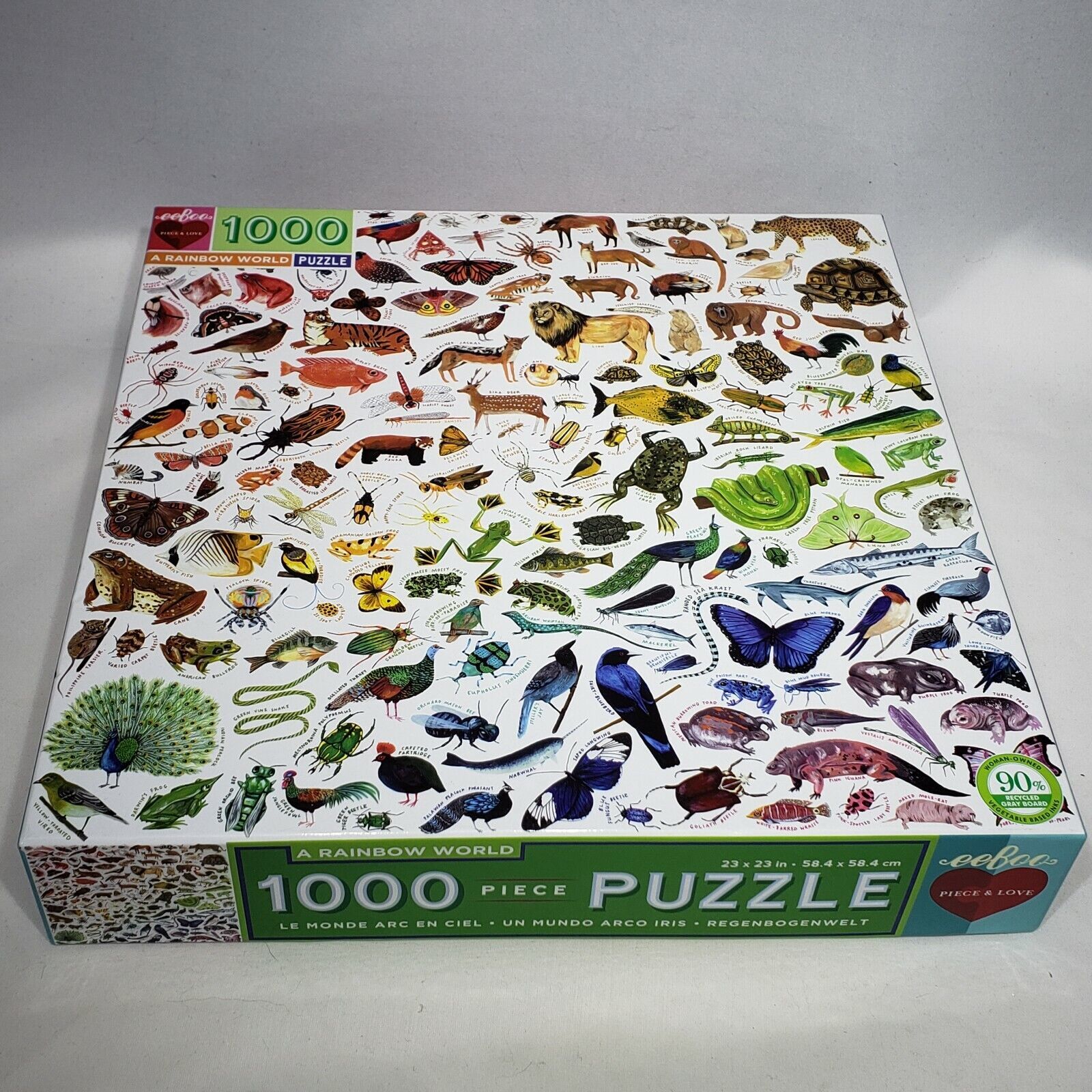 Primary image for EeBoo A Rainbow World 1000 Piece Jigsaw Puzzle New Open Box Pieces Sealed
