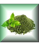 Green Tea Powder (Camellia Sinensis) - $185.30 MXN+