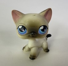 Littlest Pet Shop LPS 5 Siamese Shorthair Cat Kitty Figure Toy Authentic Hasbro - £7.40 GBP