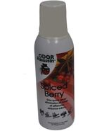Odor Assassin Odor Eliminator Spice Berry RO-115036 - $17.95