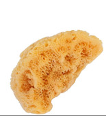 Bass Brushes Natural Sea Sponge - $15.15 CAD