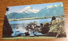 Argentina-Chile Th lake region near Bariloche -Pan Am Airlines Postcard-Unposted - £6.67 GBP