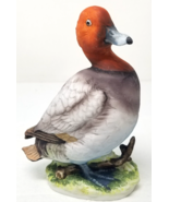 Redhead Duck Figurine Porcelain Standing Wetlands Branch Bird Lefton Jap... - £14.17 GBP