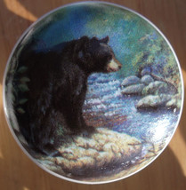 Ceramic Cabinet Knobs American BlackBear Wildlife - £4.18 GBP